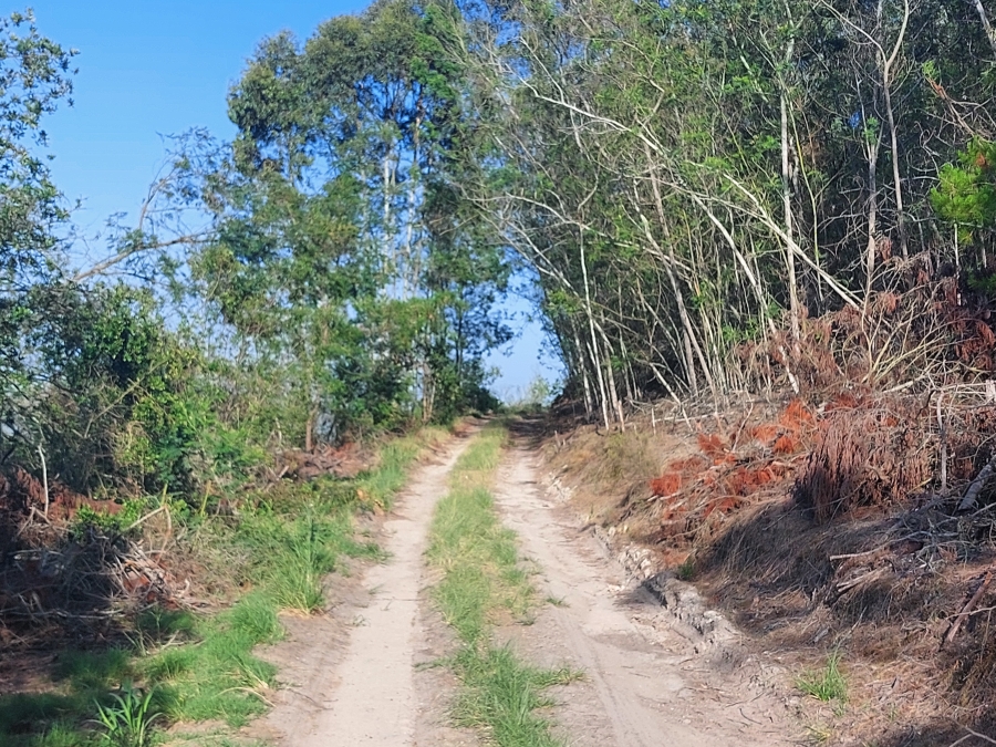 0 Bedroom Property for Sale in Sedgefield Rural Western Cape